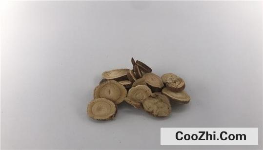 以兔子为宠物怎么饲养